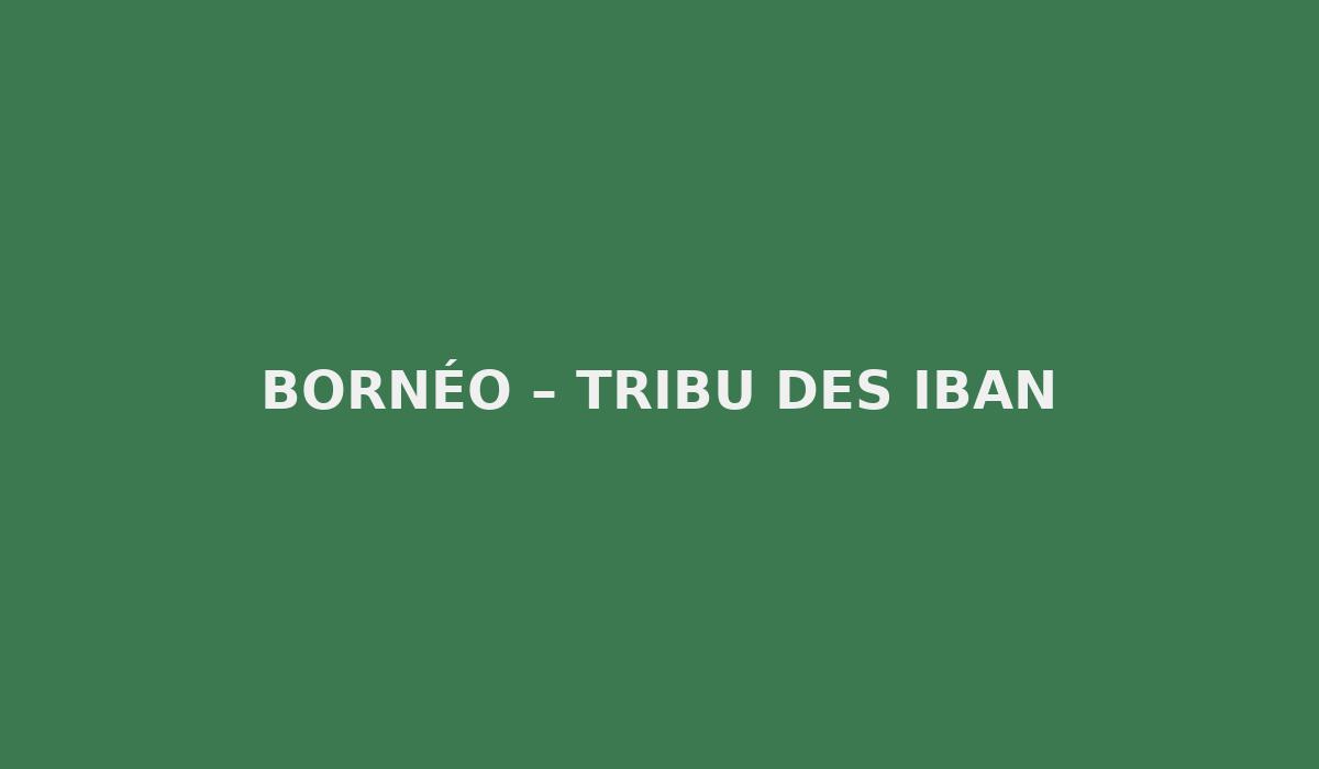 Bornéo – Tribu des Iban
