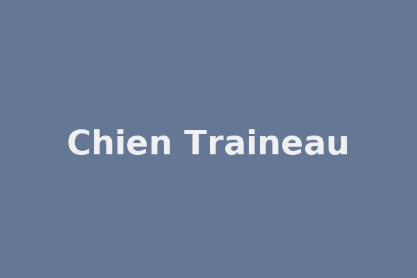 Chien Traineau