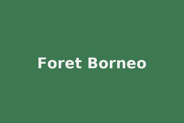 Foret Borneo